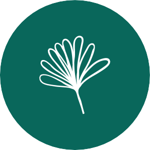 labonnefaçon